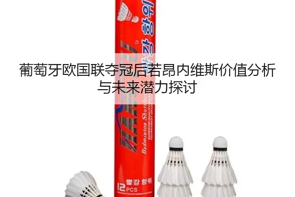 pu-tao-ya-ou-guo-lian-duo-guan-hou-ruo-ang-nei-wei-si-jia-zhi-fen-xi-yu-wei-lai-qian-li-tan-tao-2-901.jpg